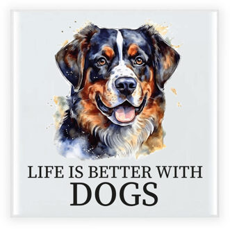 Cadeau tegel hond - Berner Senner hond - 15 cm