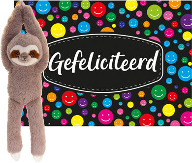 Cadeaukaart Gefeliciteerd met knuffeldier luiaard 50 cm - Knuffeldier Multikleur