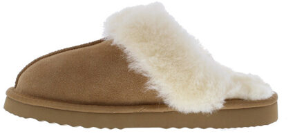 Caiya wolrand slipper | dames | maat: | suede Klaproos - 41