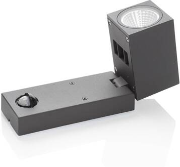 Cala - buitenspot LED met bewegingsmelder donkergrijs