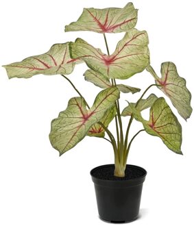 Caladium White Queen 45 cm - Kunstplant