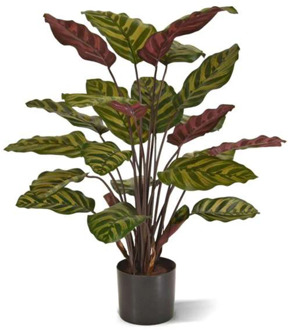 Calathea Makoyana Red 60 cm - Kunstplant