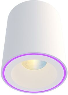 Calex Smart Halo Opbouwspot Wit - RGB en CCT