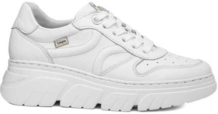CallagHan Witte Baccara Sneakers Callaghan , White , Dames - 40 Eu,37 Eu,39 Eu,38 Eu,36 EU