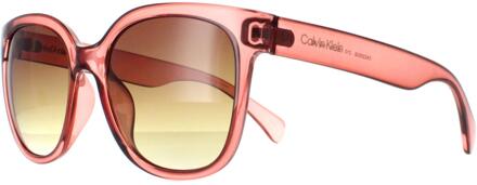 Calvin Klein CK22553S 210 transparant bruin zonnebril met kleurverloop