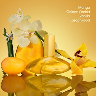 Calvin Klein Euphoria Solar Elixir Parfum Intense  30ml