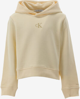 Calvin Klein Hoodie CK LOGO BOXY HOODIE ecru - 140/10J