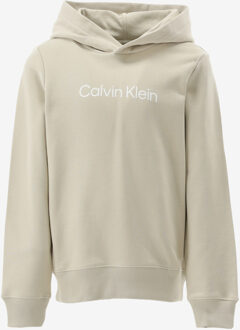 Calvin Klein Hoodie INST. LOGO REG. TERR beige - 140/10J;152/12J