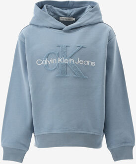 Calvin Klein Hoodie PEACHED TERRY MONOL licht blauw - 140/10J