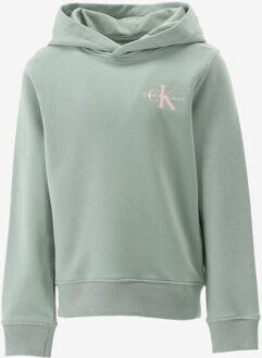 Calvin Klein Hoodie SMALL MONOGRAM HOODI groen - 140/10J;128/8J
