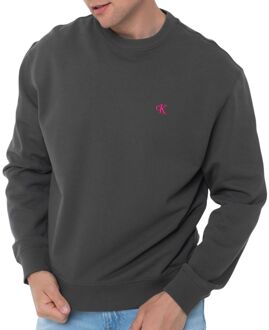 Calvin Klein Monologo 350 TERRY Sweater Heren