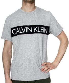 Calvin Klein Statement 1981 Graphic SS Crew Grijs - Large,X-Large