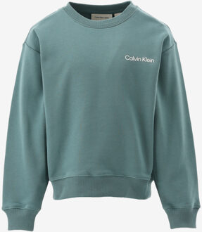 Calvin Klein Sweater CITY SCENE BACKPRINT groen - 140/10J;164/14J;176/16J;128/8J