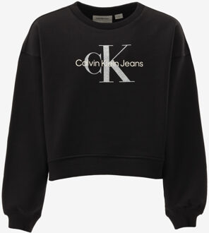 Calvin Klein Sweater GLITTER zwart - 140/10J;152/12J