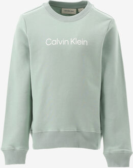 Calvin Klein Sweater INST. LOGO REGULAR C groen - 176/16J;128/8J