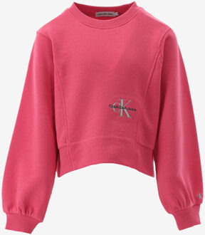 Calvin Klein Sweater rose - 176/16J