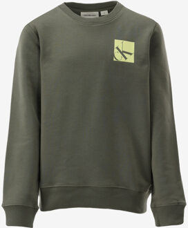 Calvin Klein Sweater SHIFTED khaki - 140/10J;152/12J;164/14J;176/16J;128/8J