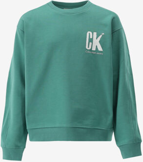 Calvin Klein Sweater SUMMER groen - 152/12J;164/14J