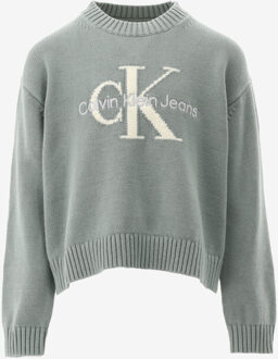 Calvin Klein Trui MONOLOGO SWEATER khaki - 152/12J;164/14J;128/8J