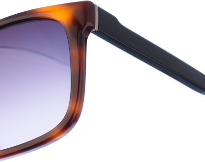 Calvin Klein Vierkante acetaat zonnebril CK22519S heren Bruin