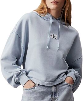 Calvin Klein Washed Woven Label Hoodie Dames lichtblauw - M