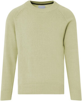 Calvin trui ronde hals - maat L Veelkleurig