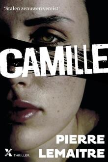 Camille - Boek Pierre Lemaitre (9401603634)
