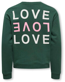 Camine Sweater Junior - 134/140