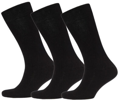 Campbell Sokken 3-pack - Zwart - 39-42