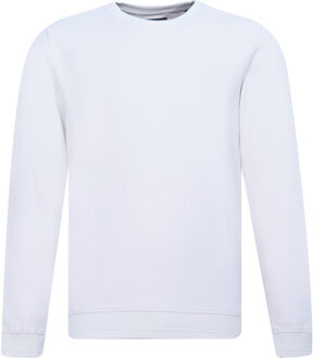 Campbell Sweater Grijs - XXL