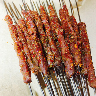 camping barbecue bbq grill tool accessoires rvs spies