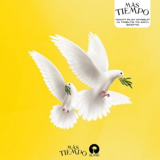 Can't Play Myself (A Tribute To Amy) - Skepta