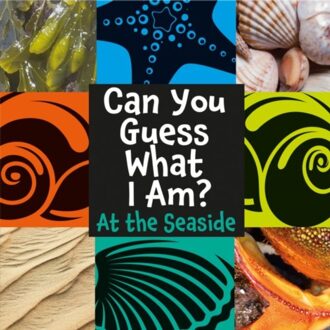 Can You Guess What I Am?: At The Seaside - Can You Guess What I Am? - J.P. Percy