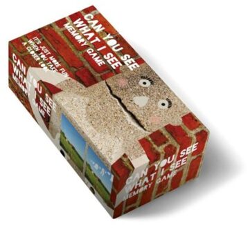 Can You See What I See Memory Game