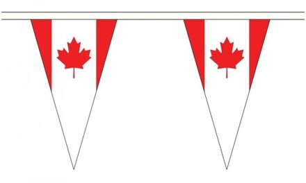 Canada landen punt vlaggetjes 5 meter Multi