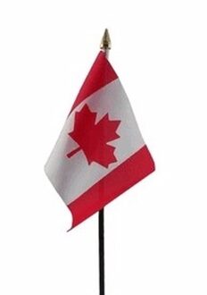 Canada mini vlaggetje op stok 10 x 15 cm