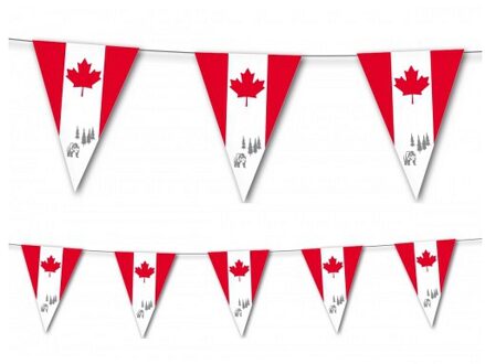 Canada vlaggetjes vlaggenlijn 3,5 meter - Vlaggenlijnen Multikleur