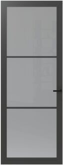 CanDo Binnendeur Cover Glass Fe01 - Basalt Grey - Gelakt - Opdek - Rechts - 83x201,5cm