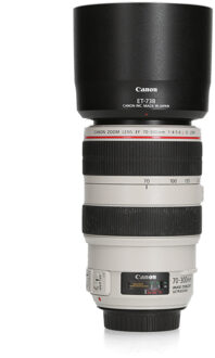 Canon Canon EF 70-300mm F4.0-5.6 L IS USM