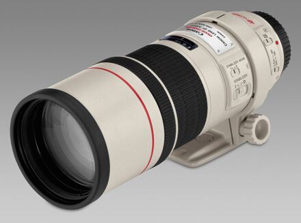 Canon EF 300mm f/4.0 L IS USM