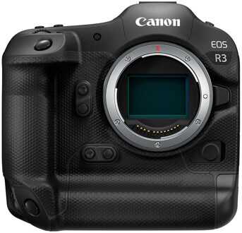 Canon EOS R3 + RF 100-500mm