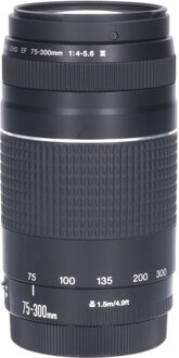 Canon Tweedehands Canon EF 75-300mm f/4.0-5.6 III DC CM2377 Zwart