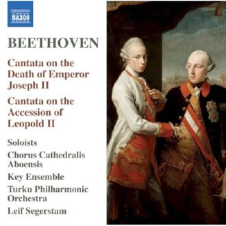 Cantata On The Death Of Emperor Joseph Ii - David Zinman