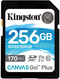 Canvas Go Plus 256GB