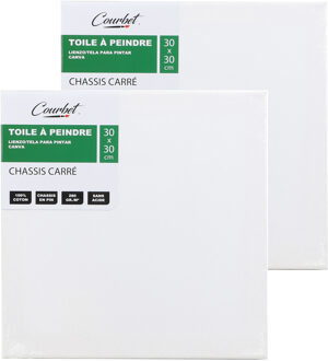 Canvas schilderij doek/paneel - 2x - schilderdoeken - wit - 30 x 30 cm