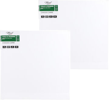 Canvas schilderij doek/paneel - 2x - schilderdoeken - wit - 50 x 50 cm