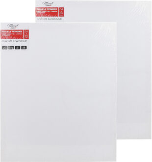 Canvas schilderij doek/paneel - 2x - schilderdoeken - wit - 54 x 65 cm