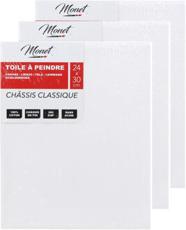 Canvas schilderij doek/paneel - 3x - schilderdoeken - wit - 24 x 30 cm