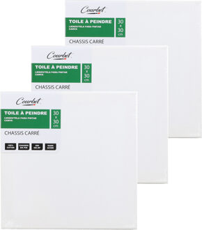 Canvas schilderij doek/paneel - 3x - schilderdoeken - wit - 30 x 30 cm