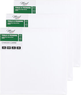 Canvas schilderij doek/paneel - 3x - schilderdoeken - wit - 40 x 40 cm